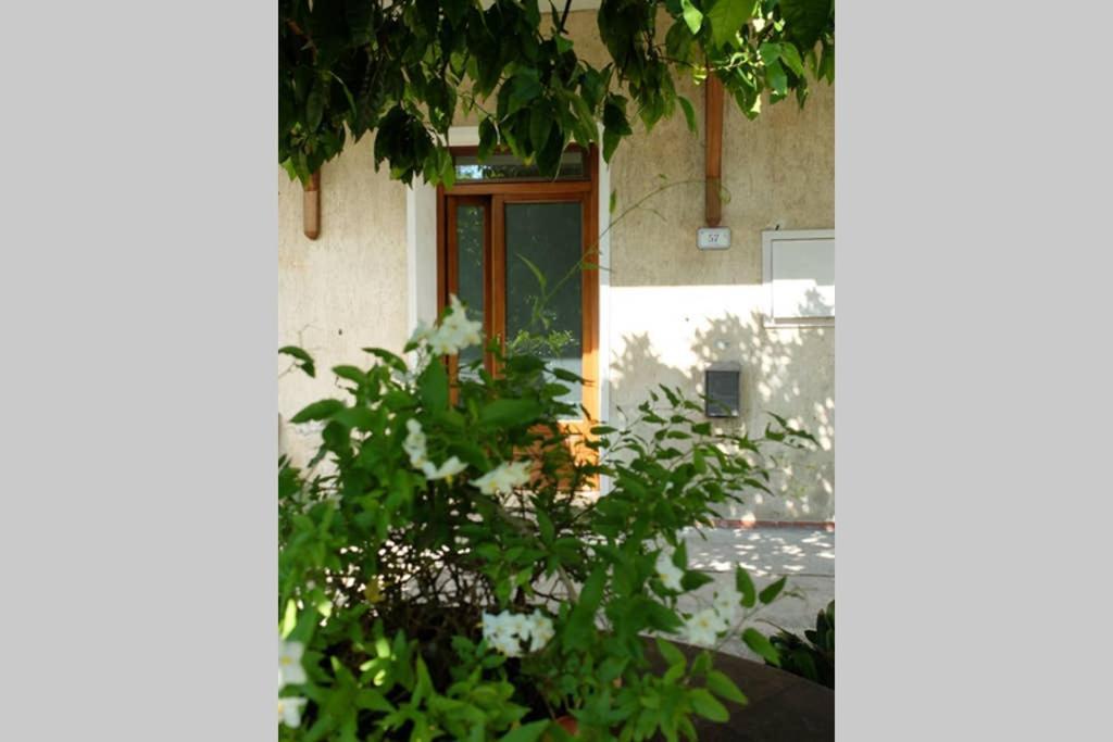 La Casina Di Bruna Mommio Eksteriør bilde